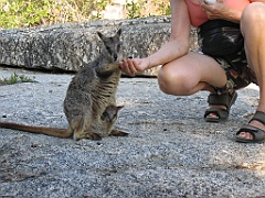 CairnsTC127 Granite Gorge